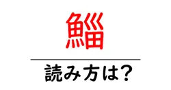 鯔の読み方は？難読語の読みと意味を解説