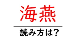 海燕の読み方は？難読語の読みと意味を解説
