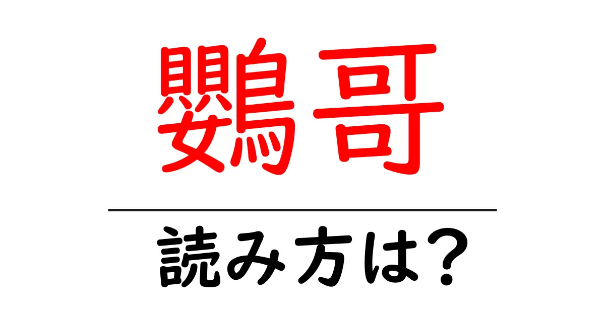 鸚哥の読み方は?難読語の読みと意味を解説