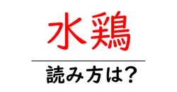 水鶏の読み方は？難読語の読みと意味を解説