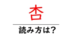 杏の読み方は？難読語の読みと意味を解説