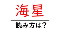 海星の読み方は？難読語の読みと意味を解説