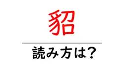 貂の読み方は？難読語の読みと意味を解説