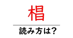 椙の読み方は？難読語の読みと意味を解説