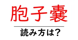 胞子嚢の読み方は？難読語の読みと意味を解説