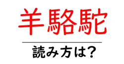 羊駱駝の読み方は？難読語の読みと意味を解説