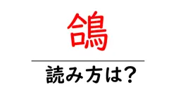 鴿の読み方は？難読語の読みと意味を解説