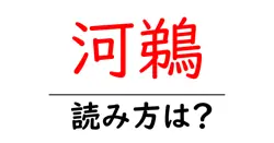 河鵜の読み方は？難読語の読みと意味を解説