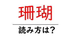 珊瑚の読み方は？難読語の読みと意味を解説