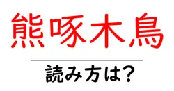 熊啄木鳥の読み方は？難読語の読みと意味を解説