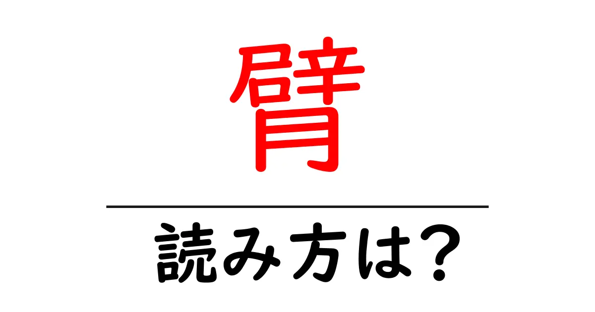 臂の読み方は?難読語の読みと意味を解説