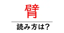 臂の読み方は？難読語の読みと意味を解説