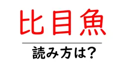 比目魚の読み方は？難読語の読みと意味を解説