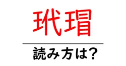 玳瑁の読み方は？難読語の読みと意味を解説