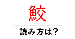 鮫の読み方は？難読語の読みと意味を解説