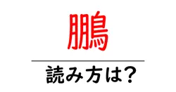 鵬の読み方は？難読語の読みと意味を解説