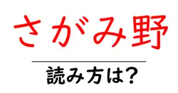 さがみ野駅の読み方は？鉄道の駅名の読み方を解説