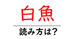 白魚の読み方は？難読語の読みと意味を解説